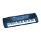 FTS MLS-7 49-Key Keyboard